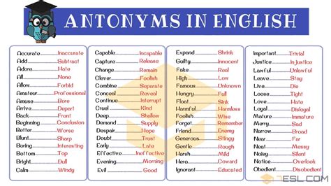 what is an antonym for|20 examples of antonyms.